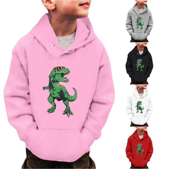 Little Boys Girls Dinosaur Sweatshirts Long Sleeve Hooded Pullover Toddler Kids Winter Warm Shirt Sweater Tops 3 14Years