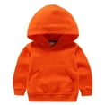 thumbnail image 1 of Little Boys Girls Hoodie - Fleece Pullover Hooded Sweatshirt, Soft Warm Winter Clothes for Everyday Casual Wear, 1 of 2