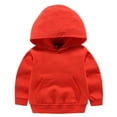 thumbnail image 1 of Little Boys Girls Hoodie - Fleece Pullover Hooded Sweatshirt, Soft Warm Winter Clothes for Everyday Casual Wear, 1 of 4