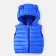 thumbnail image 1 of Little Boys Girls Puffer Vest Kids Boys Winter Vest Cute Hoodie Vest Sleeveless Lightweight Jacket Winter Down Vest for Kids 4-5 Years, 1 of 6
