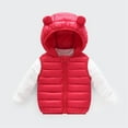 thumbnail image 1 of Little Boys Girls Puffer Vest Kids Winter Vest Hooded Jacket Sleeveless Lightweight Puffer Jacket Toddler Girls Fall Jacket for Girls 6-12 Months, 1 of 4