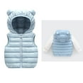 thumbnail image 1 of Little Boys Girls Puffer Vest Toddler Boys Girls Winter Vest Cute Hooded Jackets with Bear Ear Zipper Windproof Jacket Outwear Warm Outerwear for Boys 12-18 Months, 1 of 9
