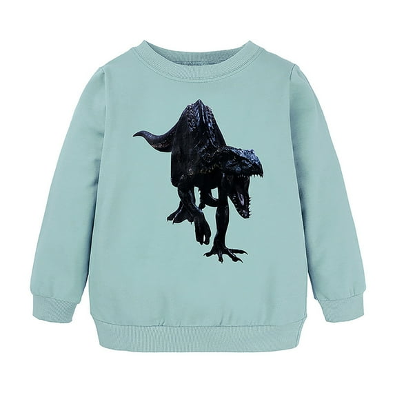 Little Boys Graphic Sweatshirt Fall Winter Dinosaur Printed Crewneck Pullover Sweatshirts