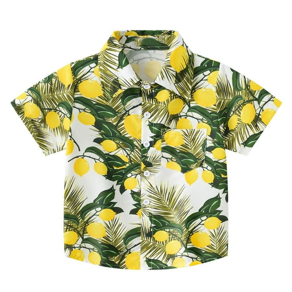 Little Boys Outfits Hawaiian Short Sleeve Summer Casual Floral Prints Shirts and Shorts Sets Size 5-6T