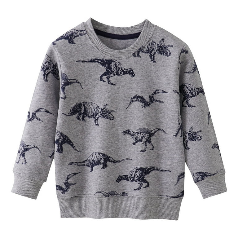Little Boys Sweatshirt Cartoon Dinosaur Crewneck Pullover Tops Loose Casual Sweatshirts