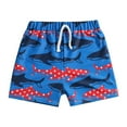 thumbnail image 1 of Little Boys Swim Trunks Funny Swimming Short Cartoon Printed Drawstring Little Boys Bathing Suit Swimsuit Toddler Boy Swimwear Blue,12M, 1 of 5