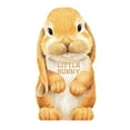 thumbnail image 1 of Pre-Owned Little Bunny, 9780764165092, 0764165097, Paperback, Brdbk edition, 1 of 1