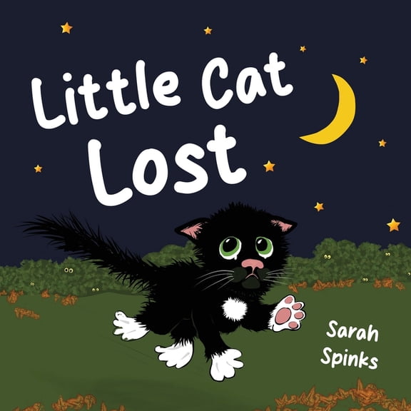 Little Cat Lost, (Paperback)