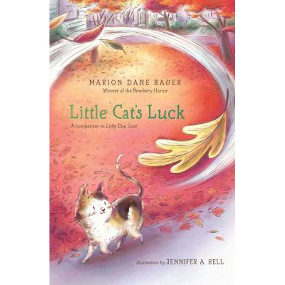 Pre-Owned Little Cat's Luck (Hardcover) 1481424882 9781481424882