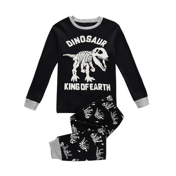 Little Child Boy Clothes Print Dinosaur Clothes Crew Neck Long Sleeve Shirt + Pants Fall Winter Outfits Set for Boy 6-7 Years