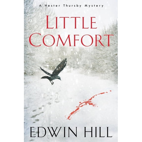 Little Comfort (Hester Thursby Mystery) by Edwin Hill (Paperback), English