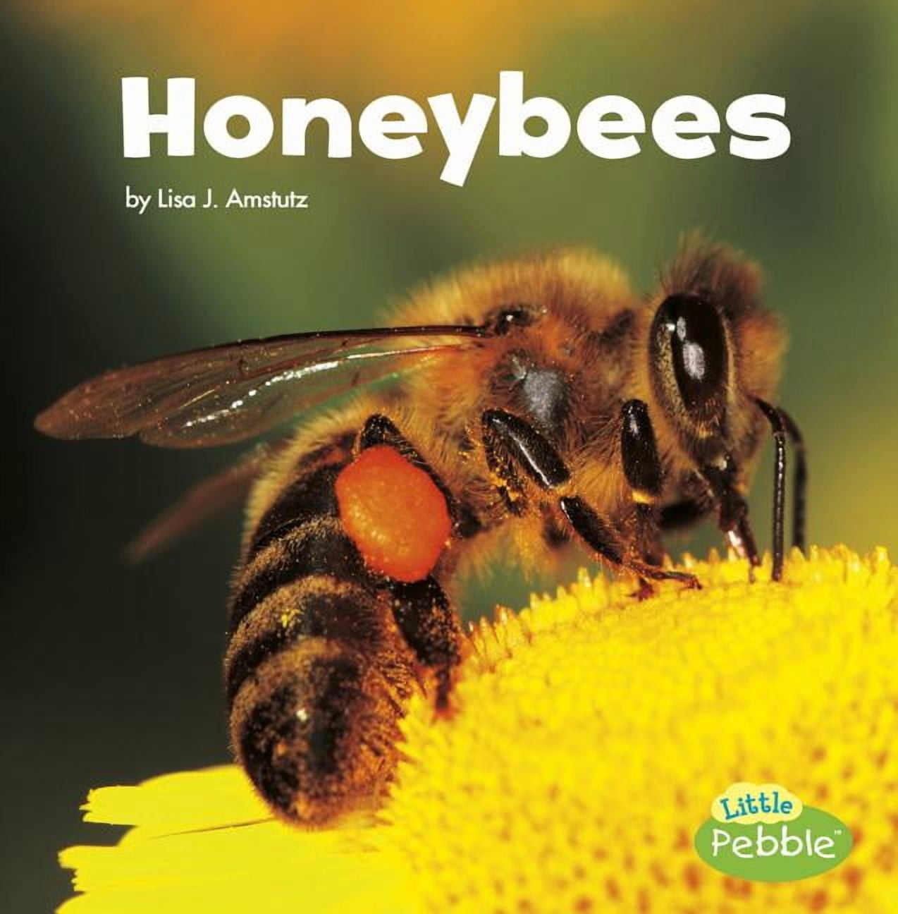 Little Critters: Honeybees (Hardcover)