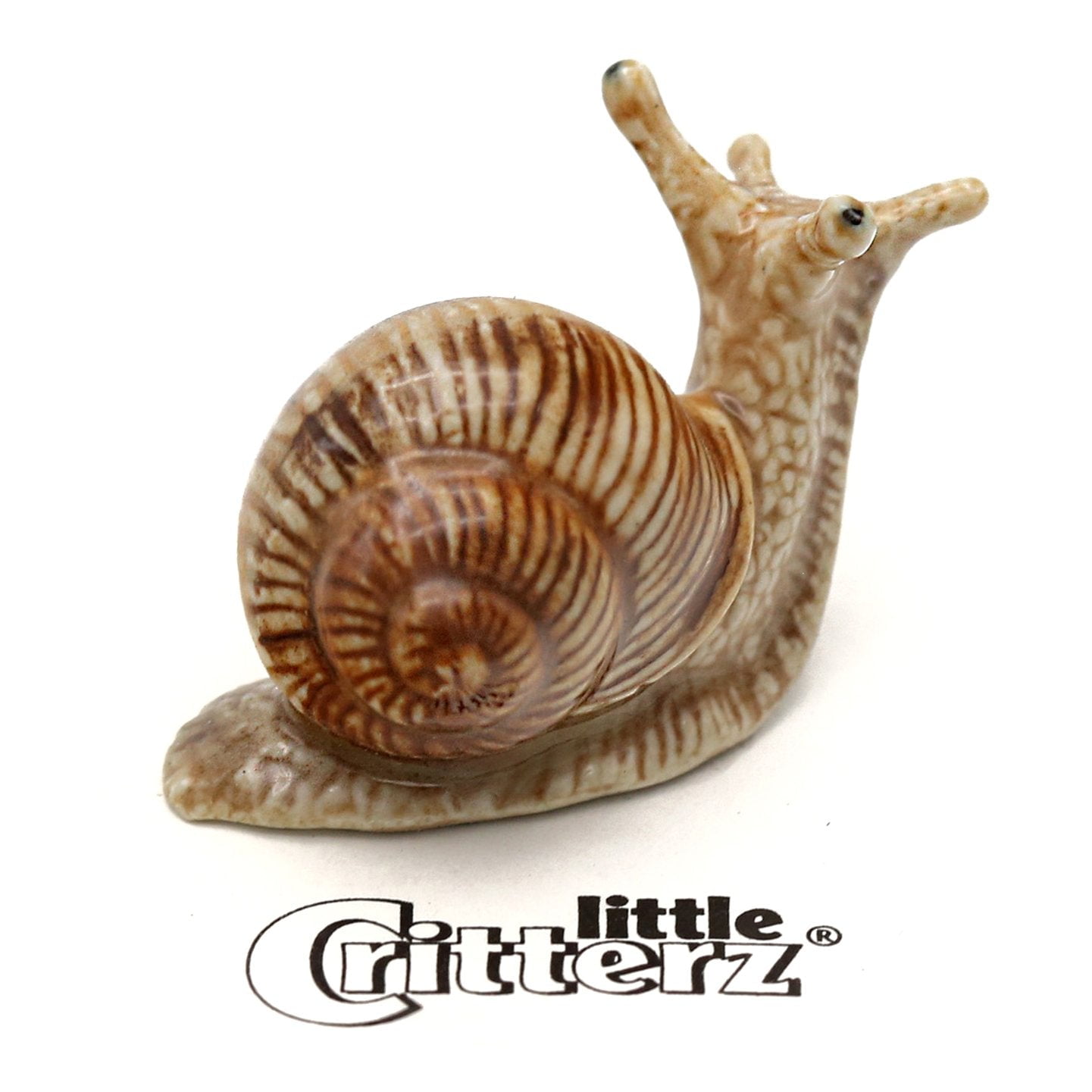 Little Critterz Brown Snail Garden Snail - 