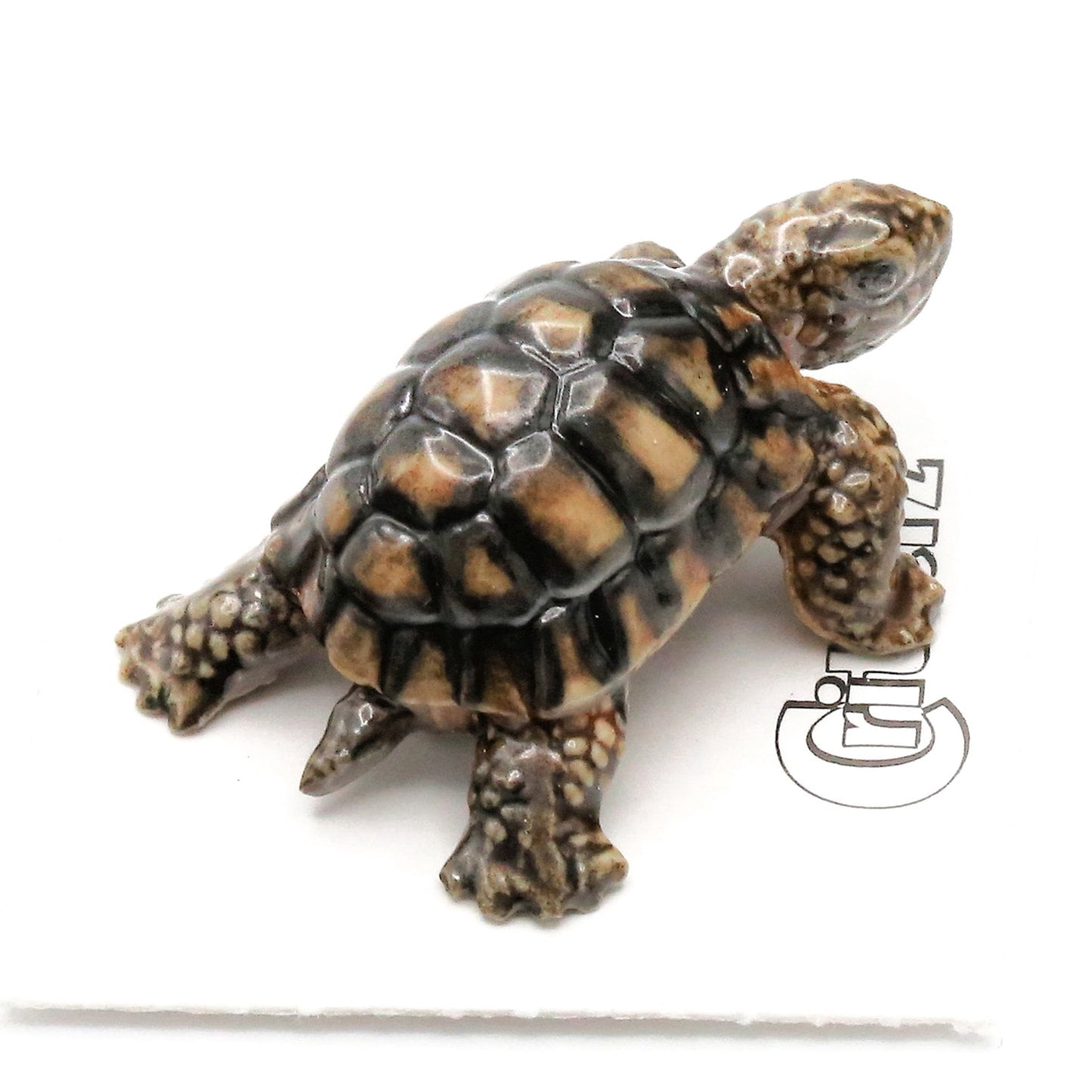 Little Critterz Desert Tortoise 