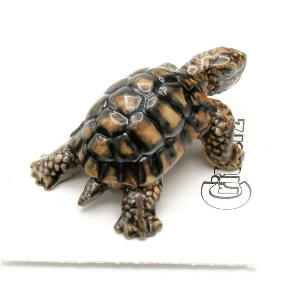 Little Critterz Desert Tortoise "Joshua" Grass-Eating - Hand-painted Home Decor Reptile Decorative Figurine - Miniature Porcelain Figurine