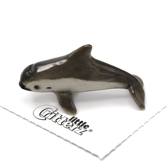 Little Critterz Fish Vaquita "Marina" Reptile - Hand-painted Home Decor Reptile Decorative Figurine - Miniature Porcelain Figurine