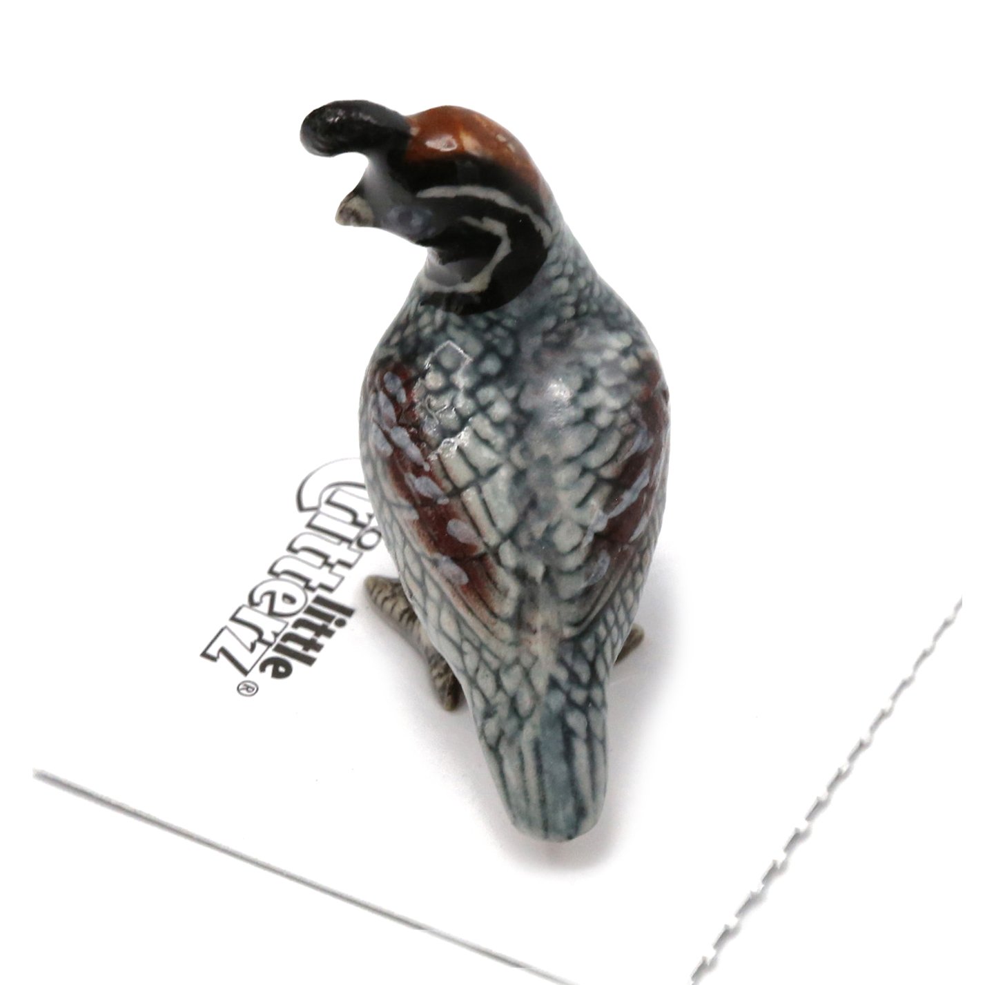 Little Critterz Gambel's Quail "Sage" miniature porcelain figurine