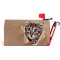thumbnail image 1 of Little Cute Kitten Sad Eyes Looking Broken Paper Magnetic Anti-UV 100% Polyester Standard Size 21x18 in Oxford Garden,Postbox Letterbox Cover, 1 of 6