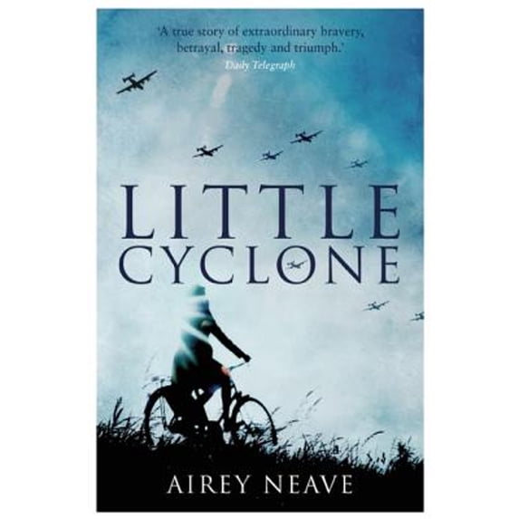 Pre-Owned Little Cyclone (Paperback) 1849549605 9781849549608