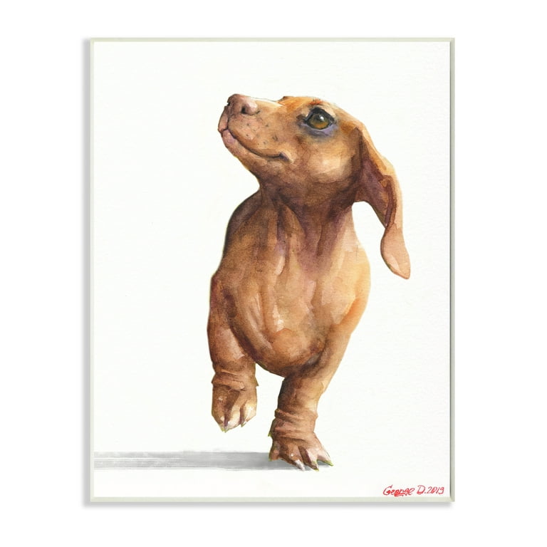 Happy Dachshund Sausage Dogs Pet Mat for Sale by Lulupainting