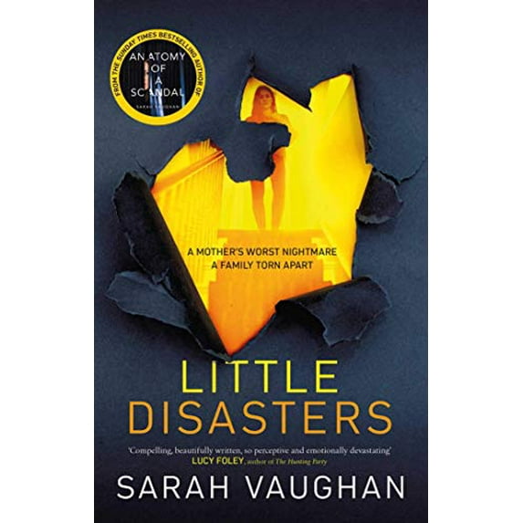Pre-Owned Little Disasters: the compelling and thought-provoking new novel from the author of the Sunday Times bestseller Anatomy of a Scandal Hardcover