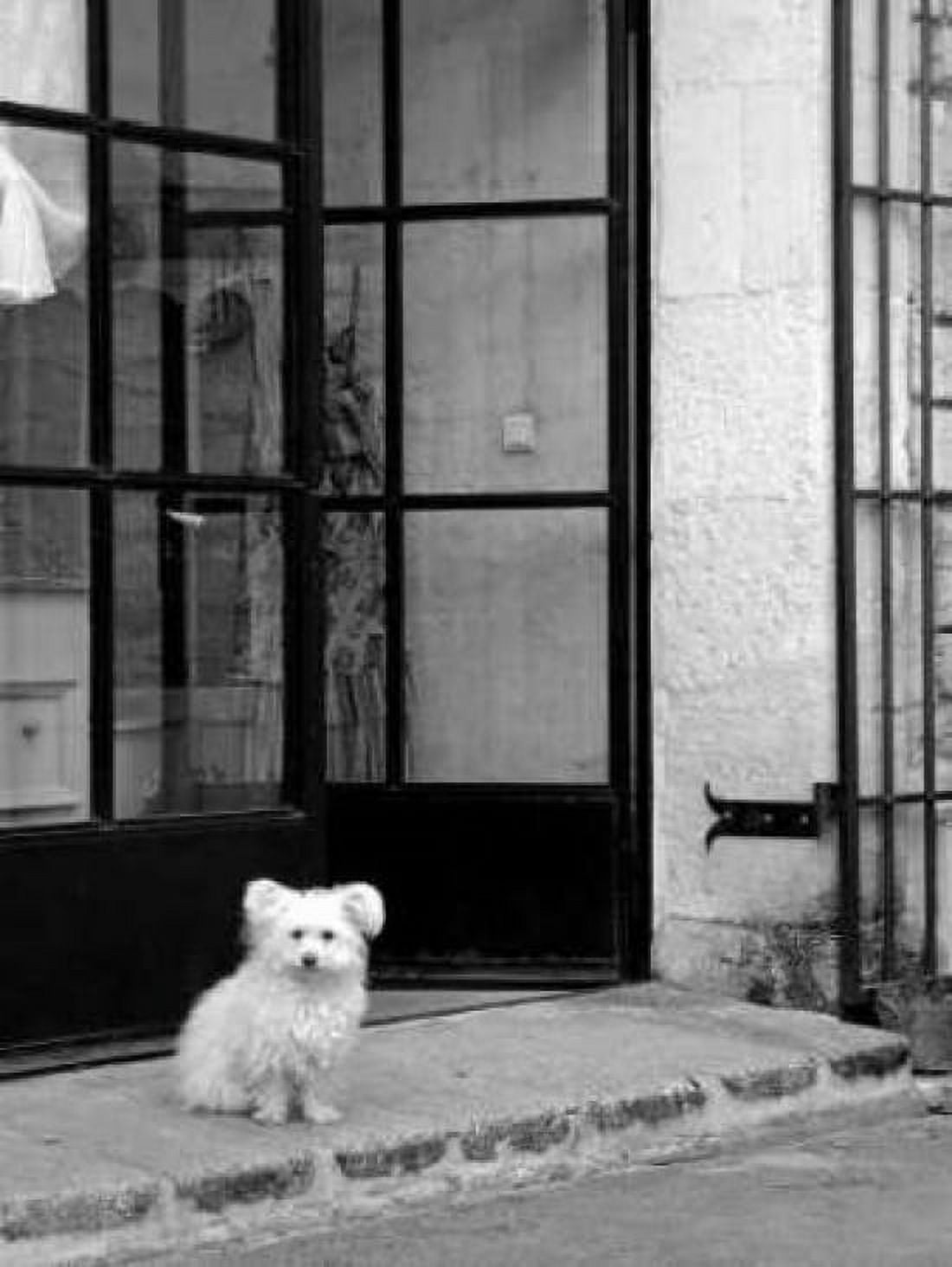 Little Dog V Canvas Art - Rita Crane (18 x 24)
