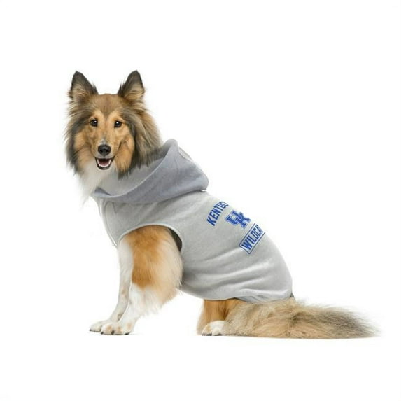 Little Earth 120149-UKY-S NCAA Pet Hooded Crewneck Type, University of Kentucky - Small