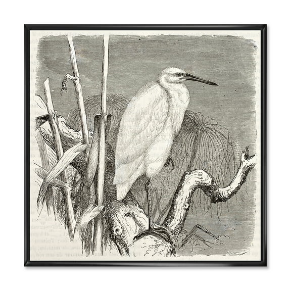 Little Egret Bird in Monochrome 16 in x 16 in Framed Painting Canvas Art Print, by Designart