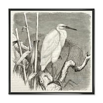 Little Egret Bird in Monochrome 16 in x 16 in Framed Painting Canvas Art Print, by Designart