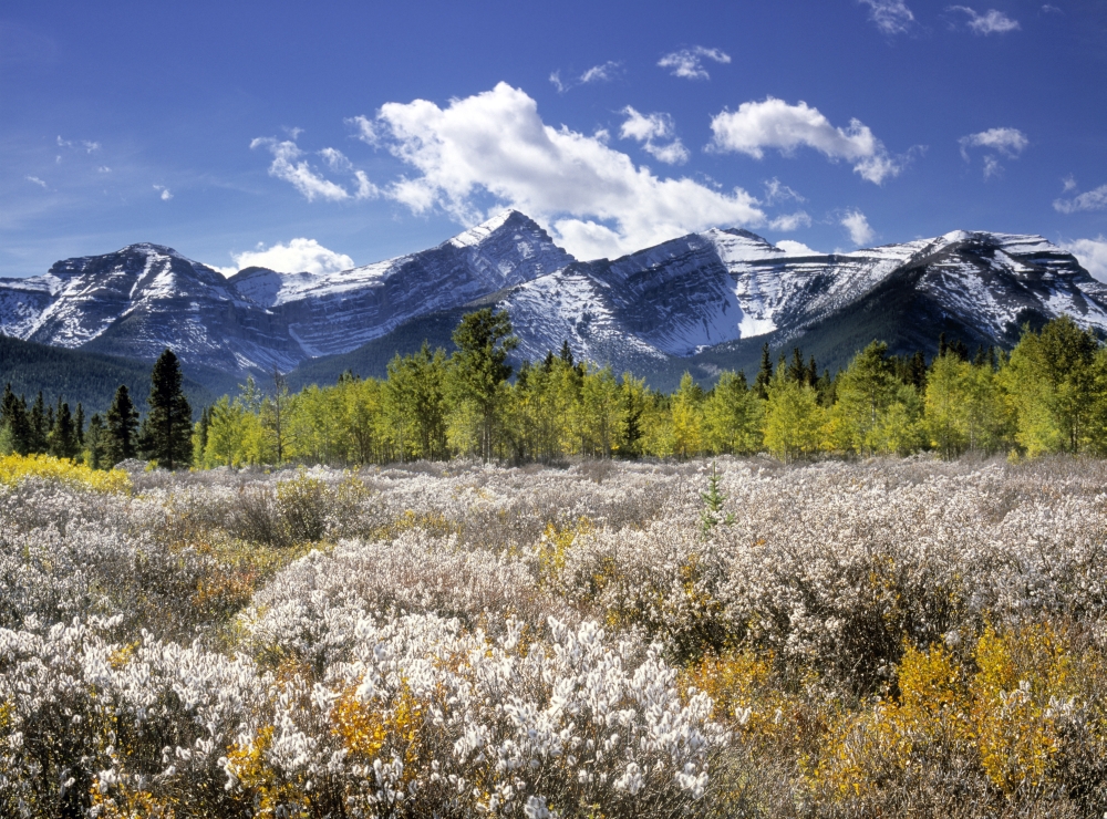 Little Elbow River Valley Kananaskis Country Alberta Canada Canvas Art - Darwin Wiggett Design Pics (16 x 12)