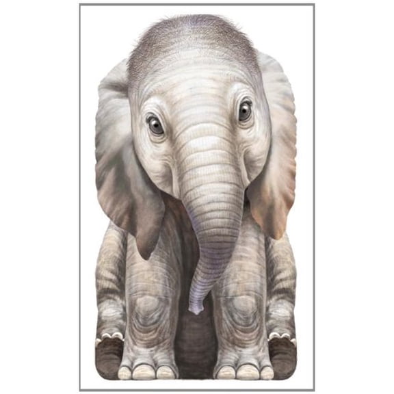 Pre-Owned Little Elephant 9780764164262 Used