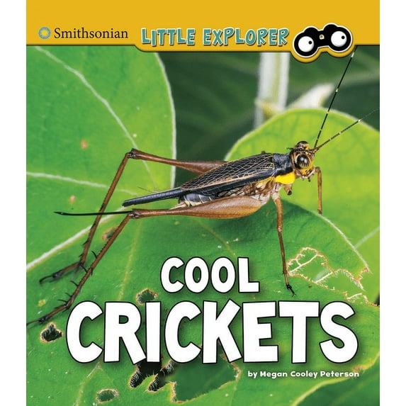 Little Entomologist 4D Cool Crickets, (Paperback)