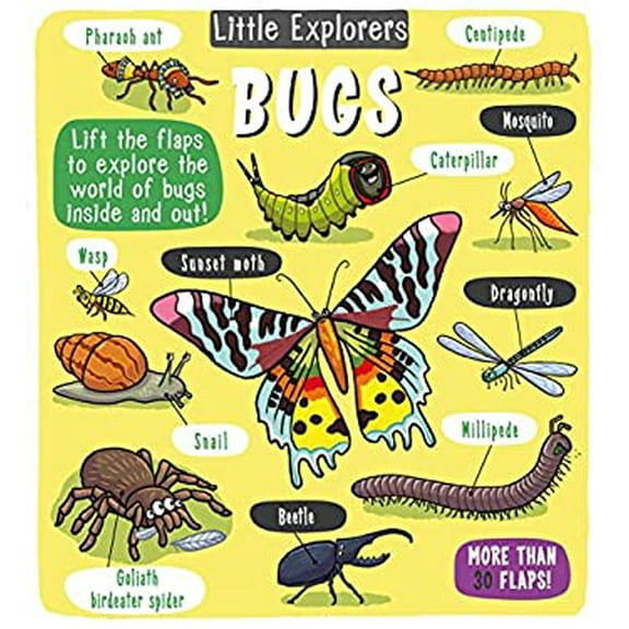 Pre-Owned Little Explorers: Bugs (Hardcover) 1499808879 9781499808872