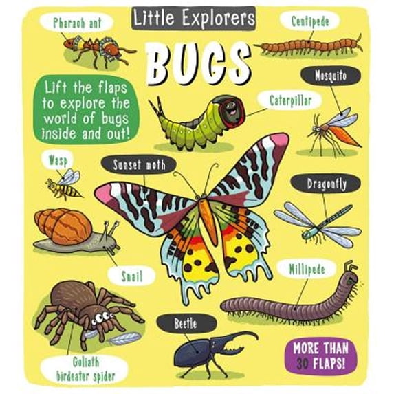 Pre-Owned Little Explorers Little Explorers: Bugs, (Hardcover)
