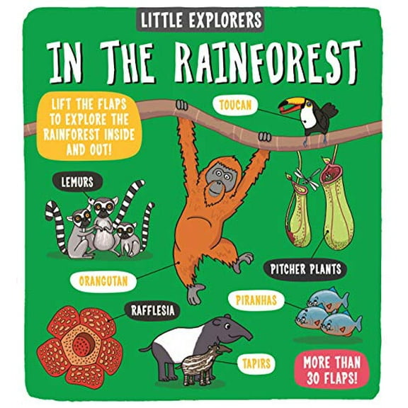 Little Explorers: In The Rainforest