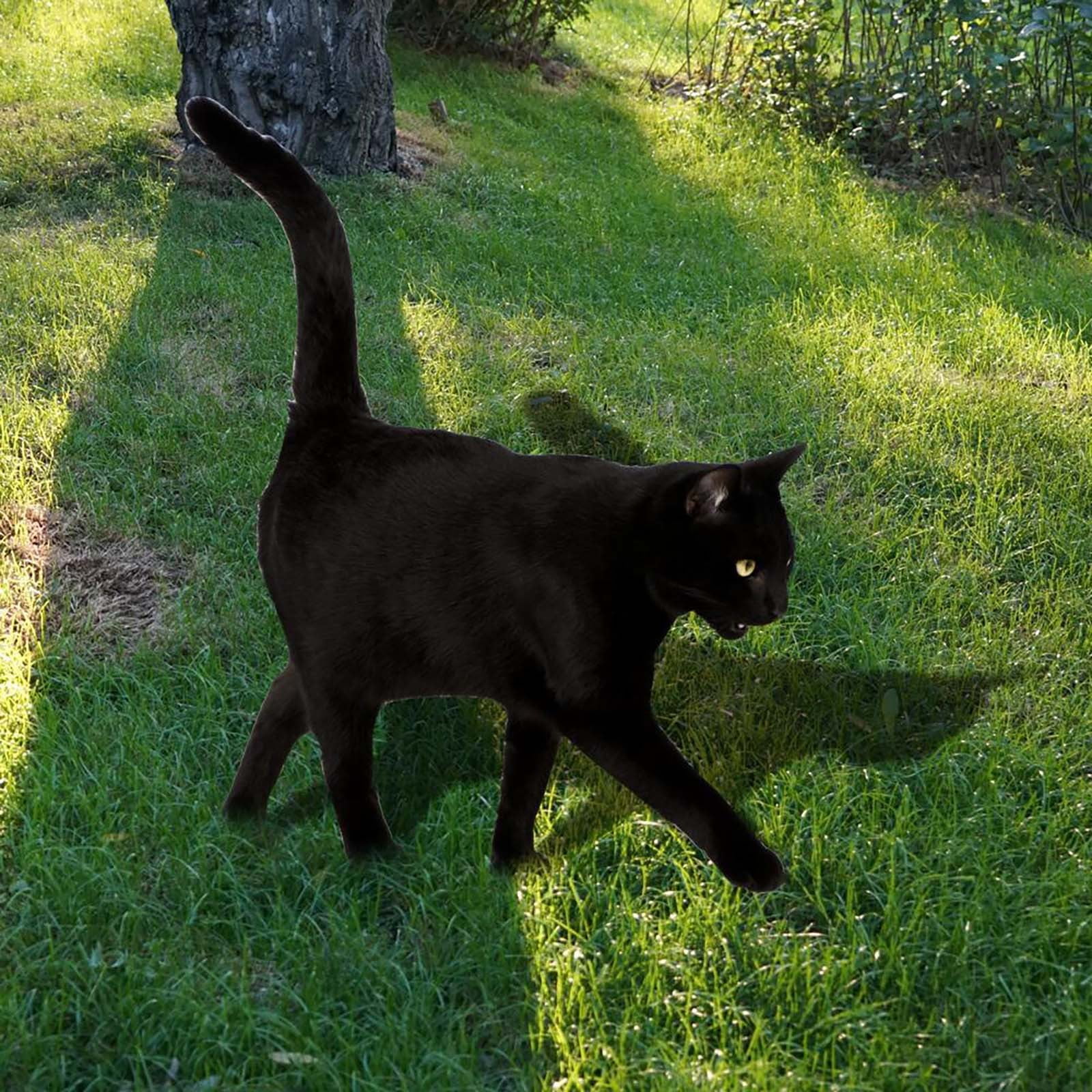 Little Figurine Cake Topper Sweet 16 Cake Decorations Rose Toppers 1st