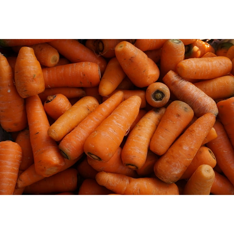Little Finger Carrot Seeds/ Biennial/ Full Sun/ 76K Seeds 1