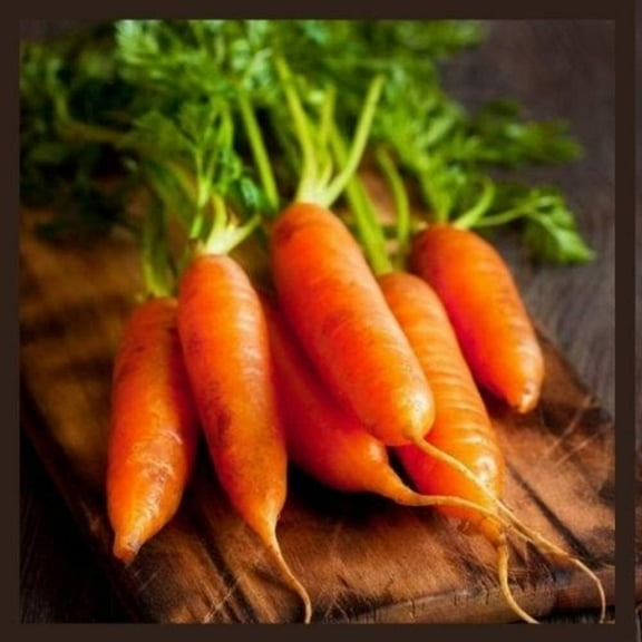 Little Finger Carrot Seeds | Heirloom & Non-GMO Carrot Seeds | 250+ Vegetable Seeds for Planting Outdoor Home Gardens | Planting Instructions Included