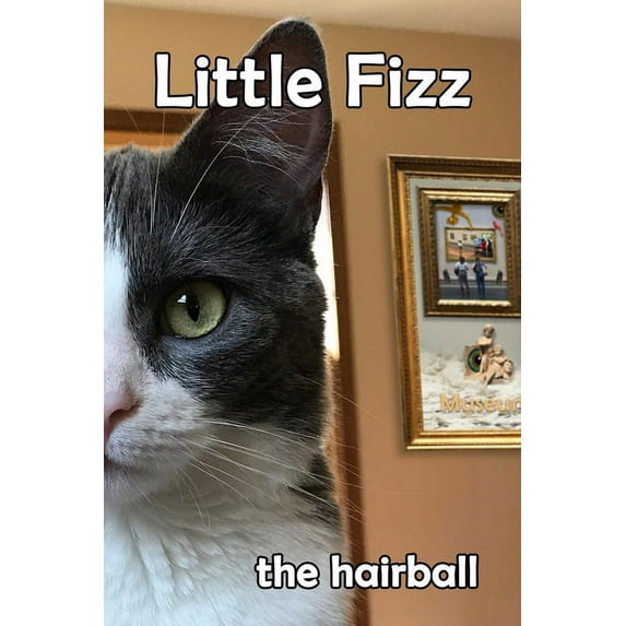 Little Fizz, (Paperback)