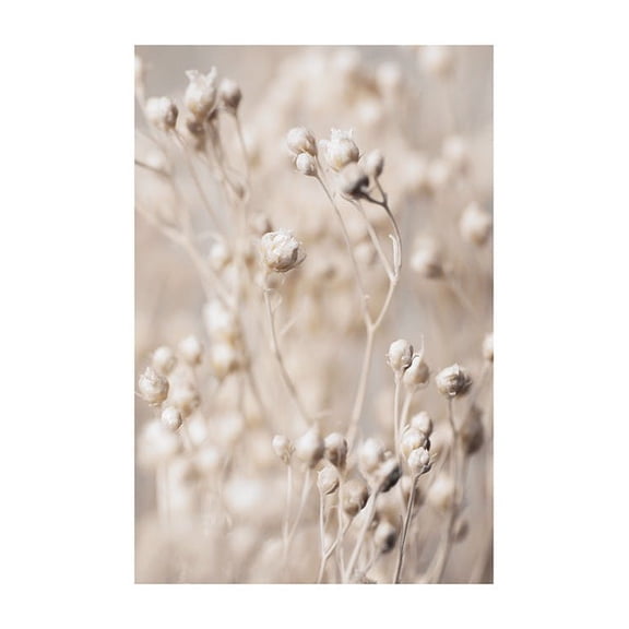 Little Flower Buds Print Wall Art, Modern Wall Decor For Living Room Bedroom, 24x36 UNFRAMED