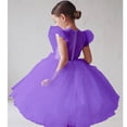 thumbnail image 1 of Little Flower Girl Tulle Tutu Dress Flutter Sleeve Princess Birthday Dress for 12M-8T, 1 of 5