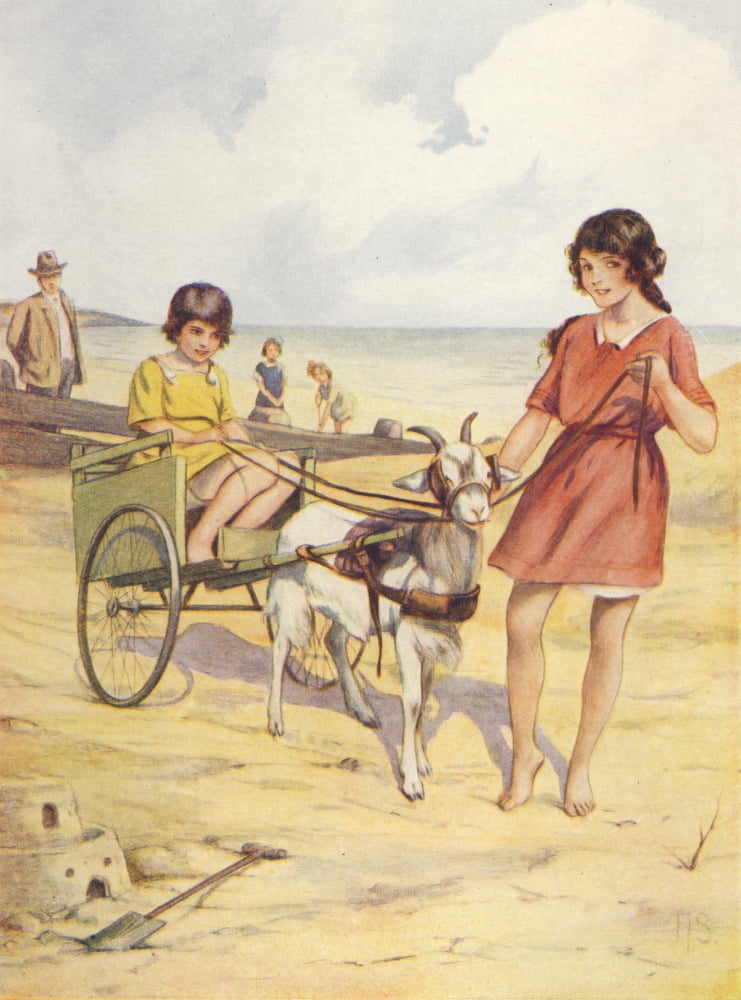 Little Frolic 1925 Goat pulling cart Canvas Art - Unknown (24 x 36)
