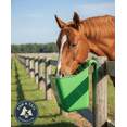 thumbnail image 1 of Little Giant 12 Quart Plastic Hook Over Feeder Mountable Livestock Feed Bucket Lime Green, 1 of 5