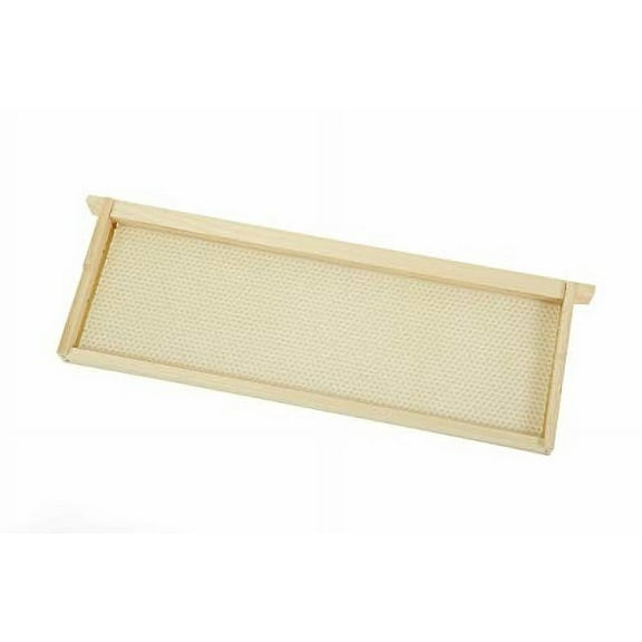 Little Giant 5-Pack Medium Hive Frame