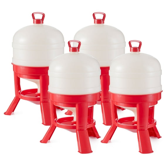 Little Giant 8 Gallon Tank Heavy Duty Poultry Gravity Waterer (4 Pack)