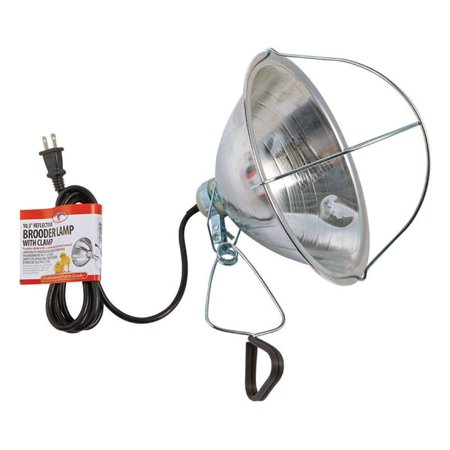 Little Giant Aluminum Incubator (Pack of 4)