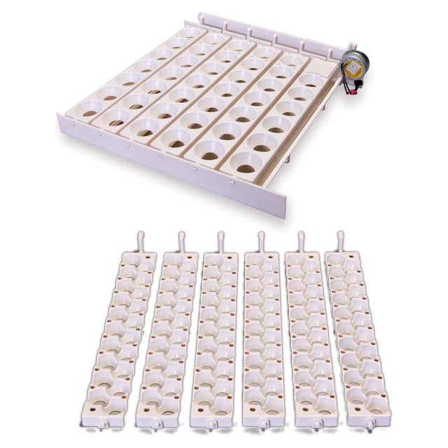 Little Giant Automatic Egg 6300 w Quail Rails - Walmart.com