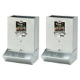 thumbnail image 1 of Little Giant BPF2 Mountable 2 Hole Baby Piglet Trough Feeder, 7 Pound (2 Pack), 1 of 5