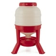 thumbnail image 1 of Little Giant DOMEFDR45 45 Pound Feed Heavy Duty Poultry Chicken Gravity Feeder, 1 of 12