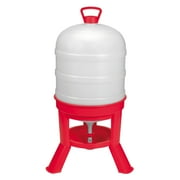 LITTLE GIANT LADDER SYSTEMS Little Giant DOMEWTR10 10 Gallon Tank Heavy Duty Poultry Chicken Gravity Waterer